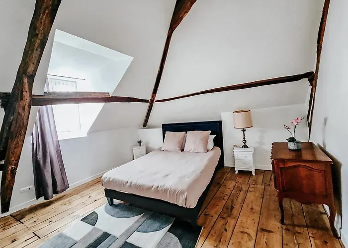 Villa - Centre D'epernay - 6 - Terrasse *